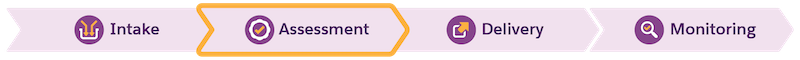 The public secctor workflow phases, with a callout on Assessment