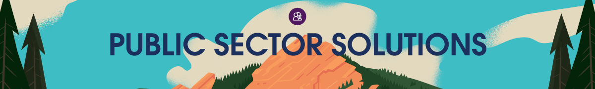 Public Sector Solutions banner