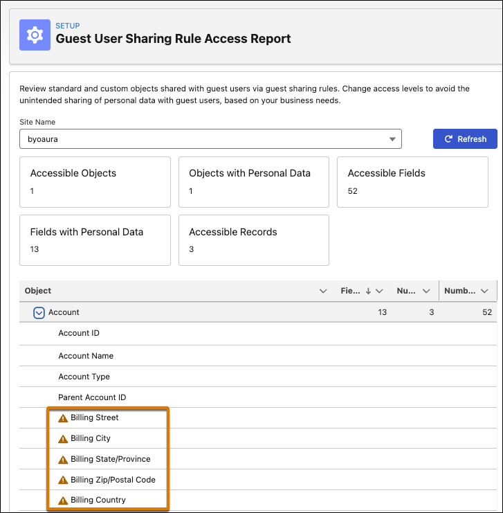 Guest User Sharing Rule Access Report showing potentially sensitive fields on the Account object