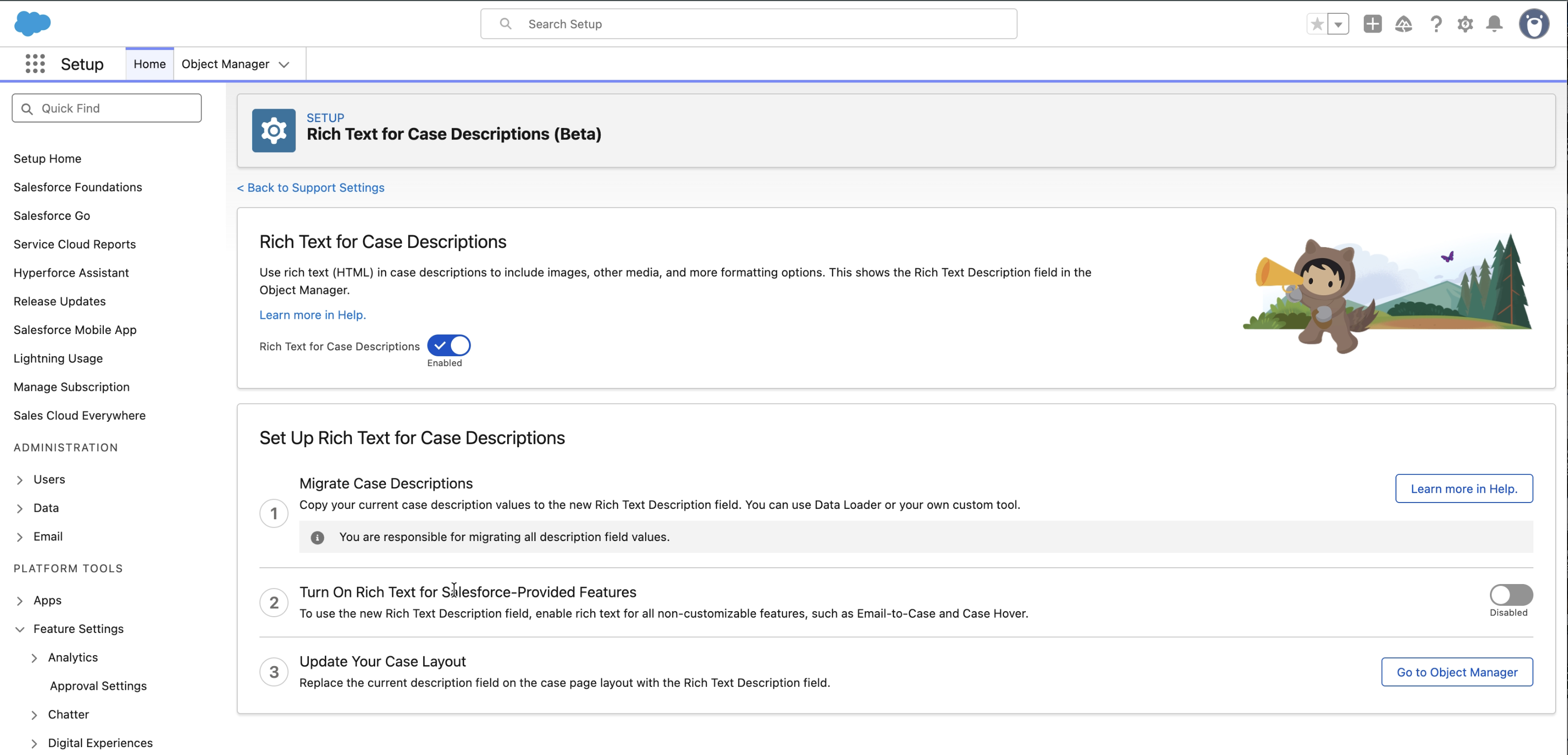 The Rich Text for Case Descriptions setup page