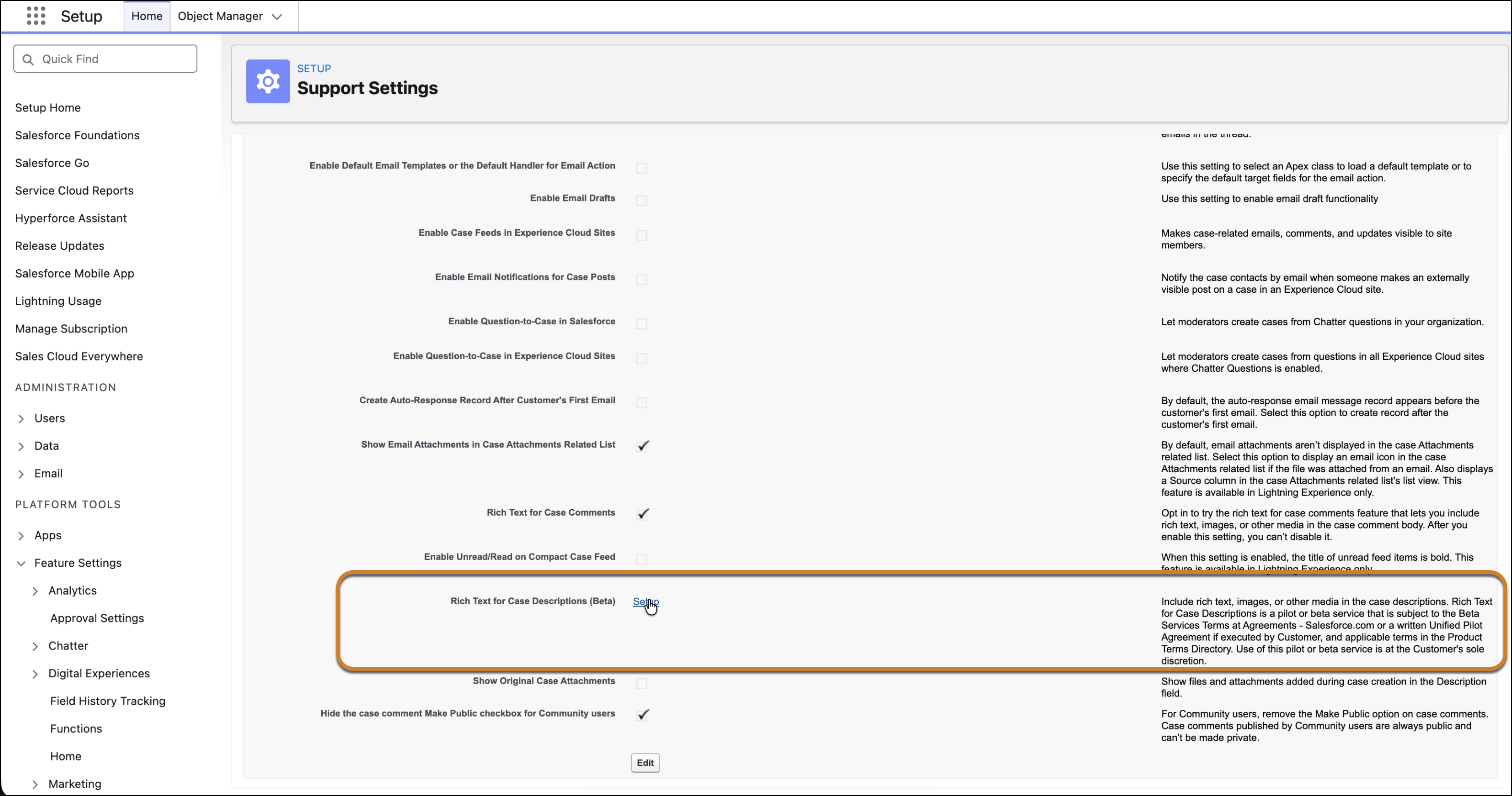 The Rich Text for Case Description setup link on the Support Settings page