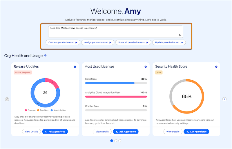 Setup Home with highlight on Setup with Agent conversation area.