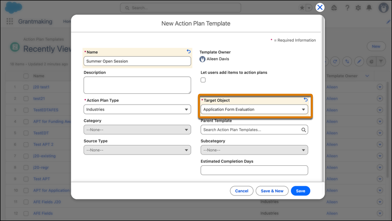 New Action Plan Template window.