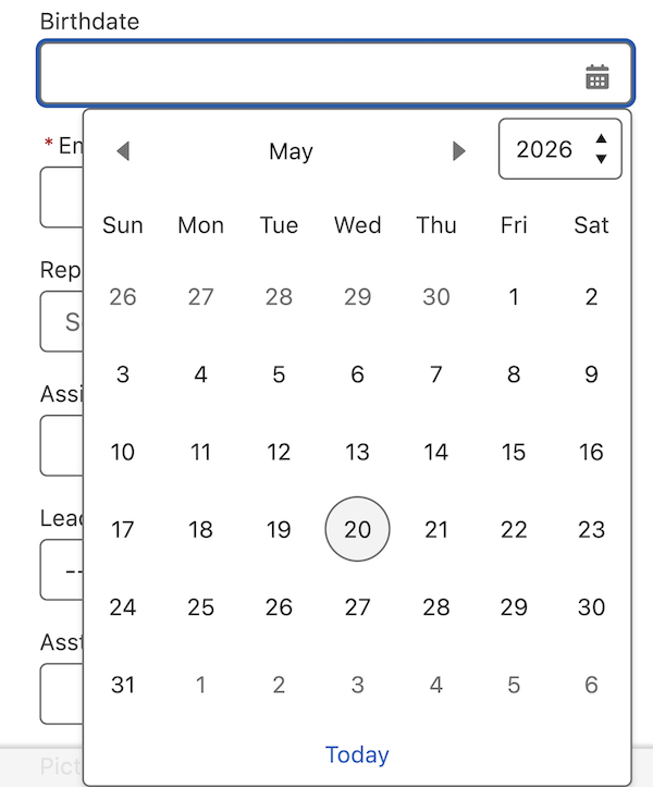 Date picker at 400% magnification.