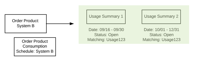 The new order product, following amendment, with its two new usage summaries