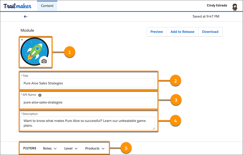 New module page, showing the fields for module badge art, module title, API name, description, and filter picklists