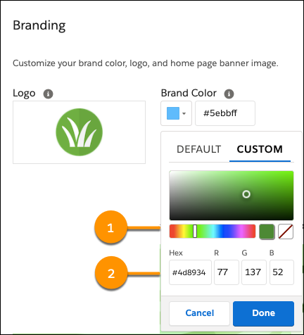 Color picker on the Branding page, showing the options for setting a custom color