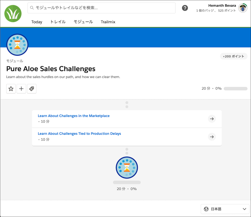 A module page in Japanese, showing the Japanese labels but English content.
