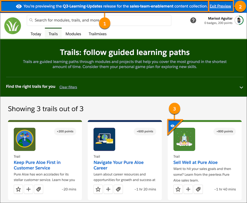 Preview mode indicators in myTrailhead