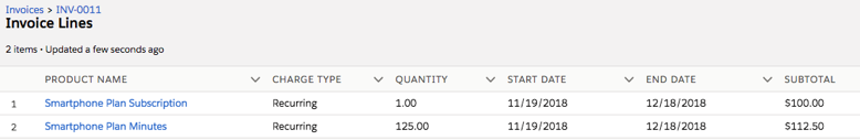 Two invoice lines