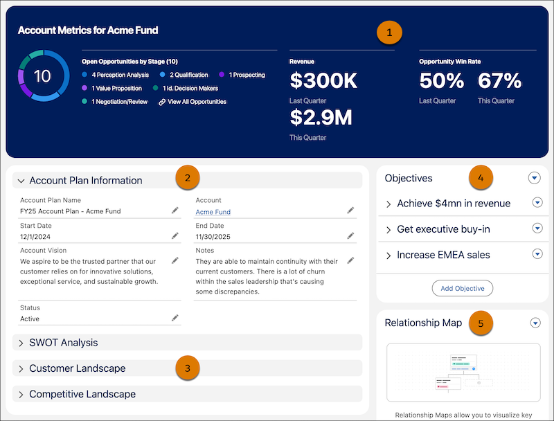 The sales account plan details page, with the Account Information panel expanded