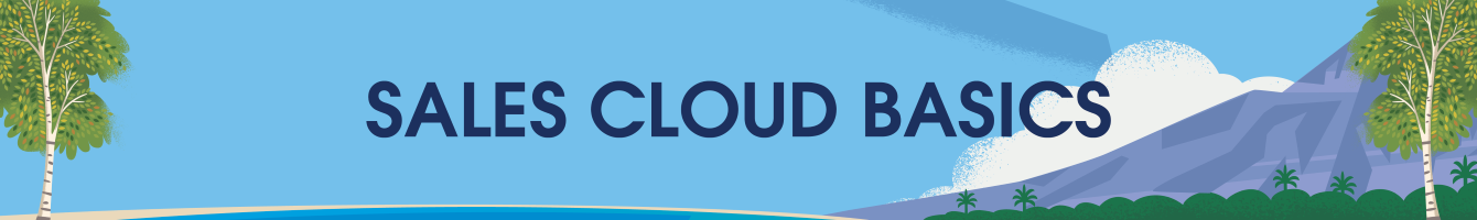 Grunnleggende om Sales Cloud