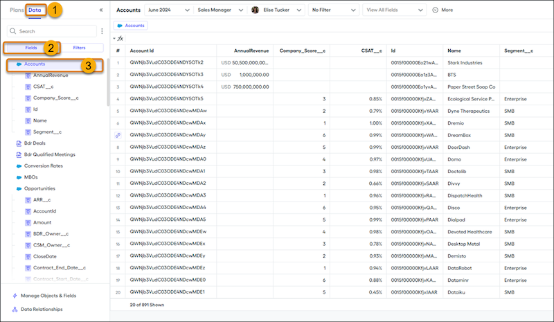 Anzeigen der importierten Daten im Designer