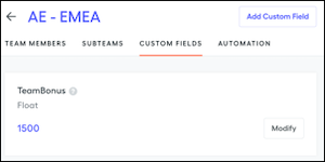 Custom Fields tab on a team
