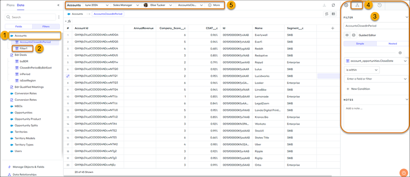 Data filters in Designer