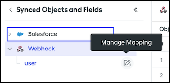 The Manage Mapping icon