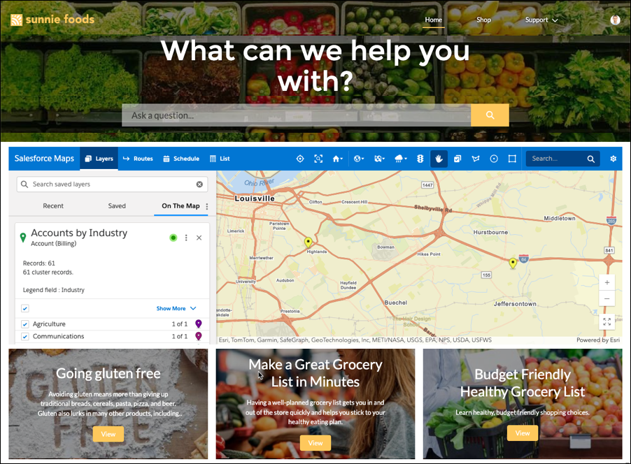 Experience Cloud site that shows Salesforce Maps