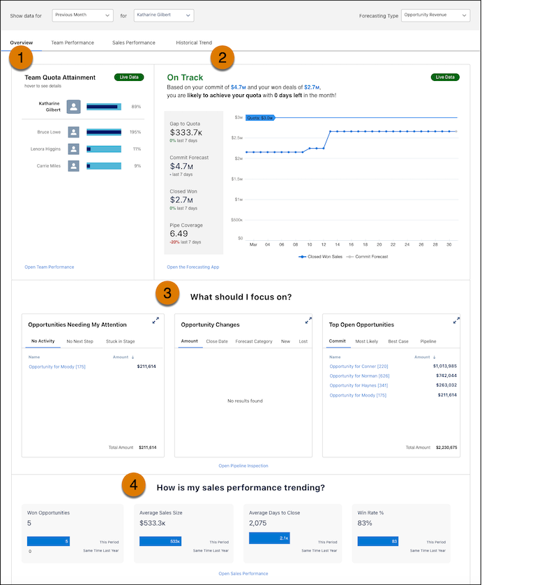 Revenue Insights Dashboard
