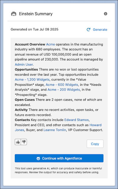 The Einstein Summary component showing a generated summary for an account