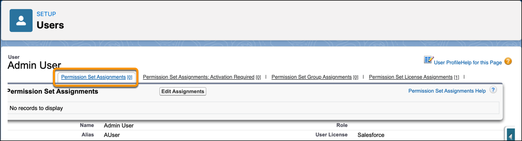 The Permission Set Assignments tab shows all no permission sets assigned to the user.