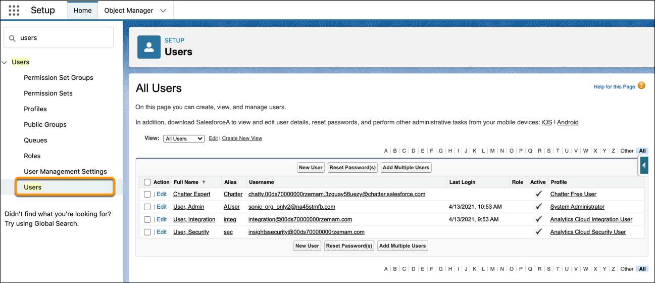 The Users screen shows users defined in your Salesforce org.