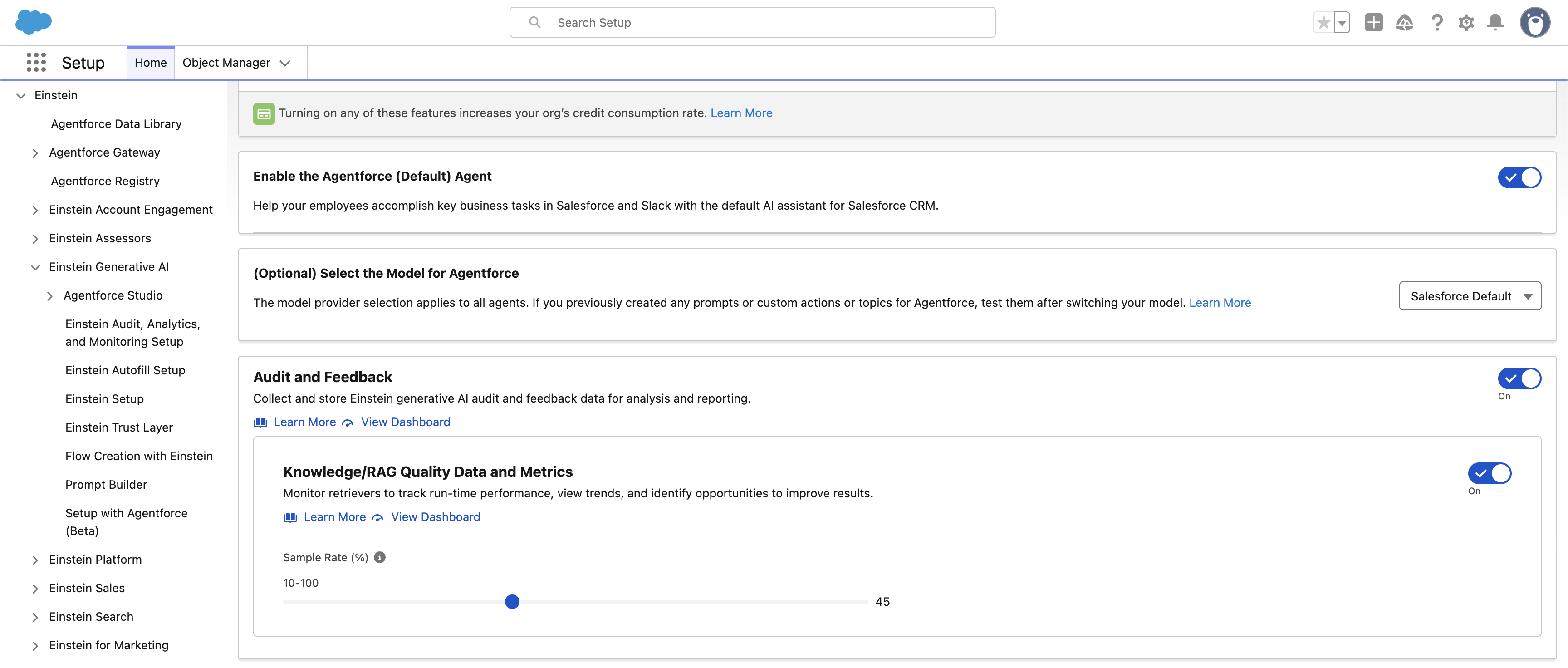 Agent Analytics Setup page showing the Audit and Feedback and Knowledge/RAG Quality Data and Metrics toggles