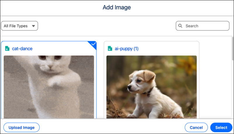 Image gallery.