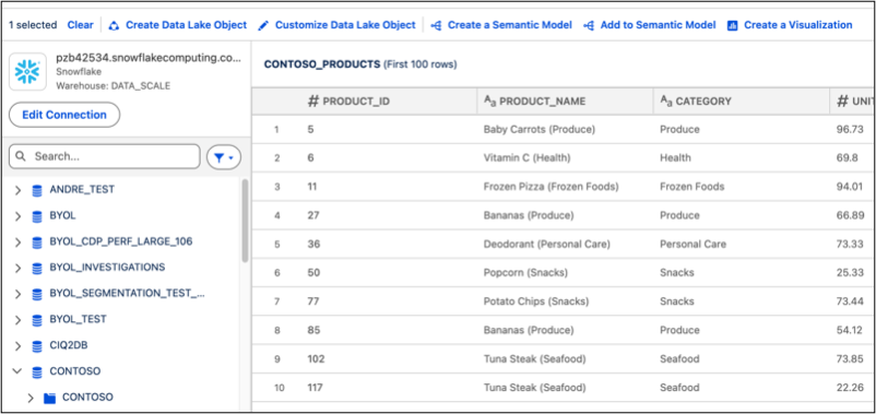 Selecting Customize Data Lake Object.
