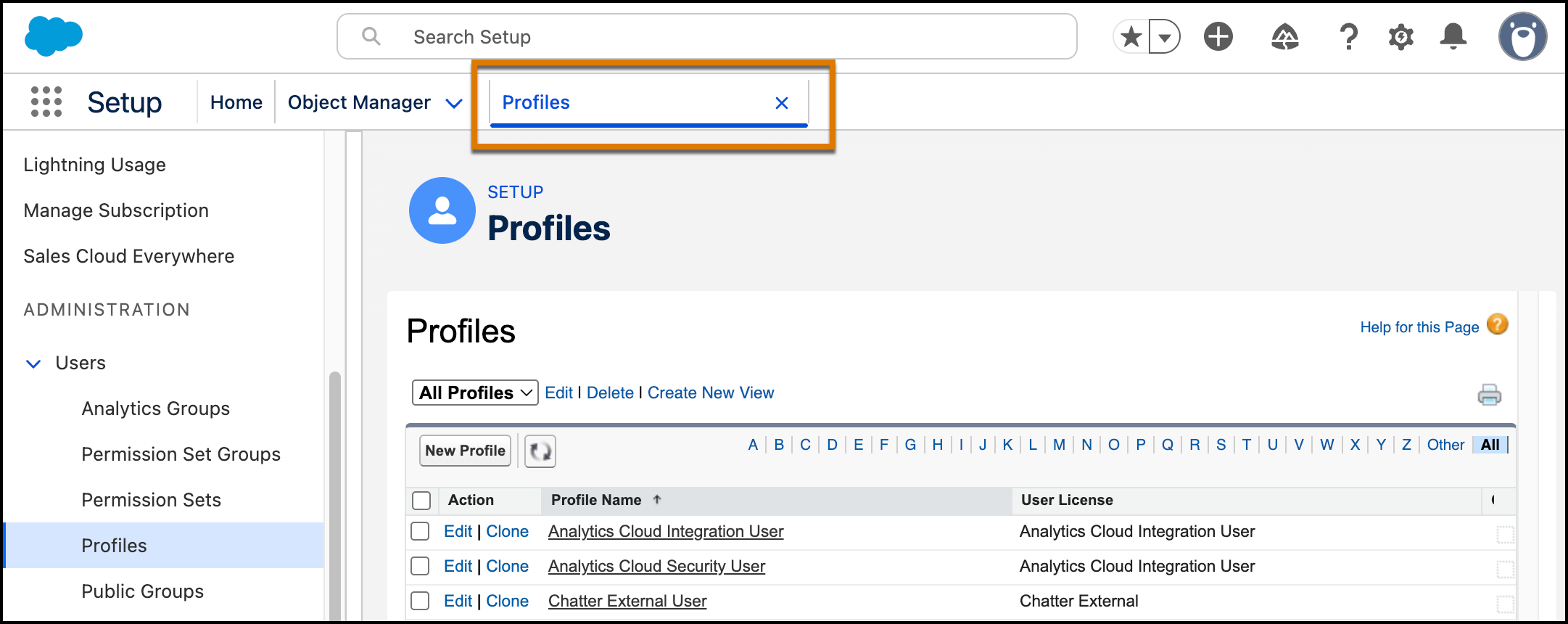 Screenshot of Setup with the new Setup tab open to the Profiles page