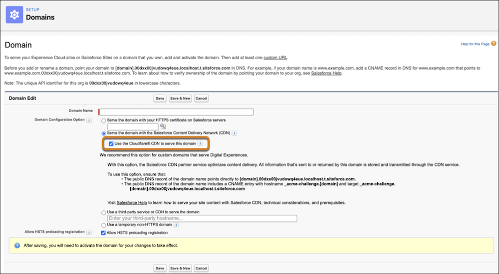 Domains Setup page showing the Use the Cloudflare® CDN to serve this domain option