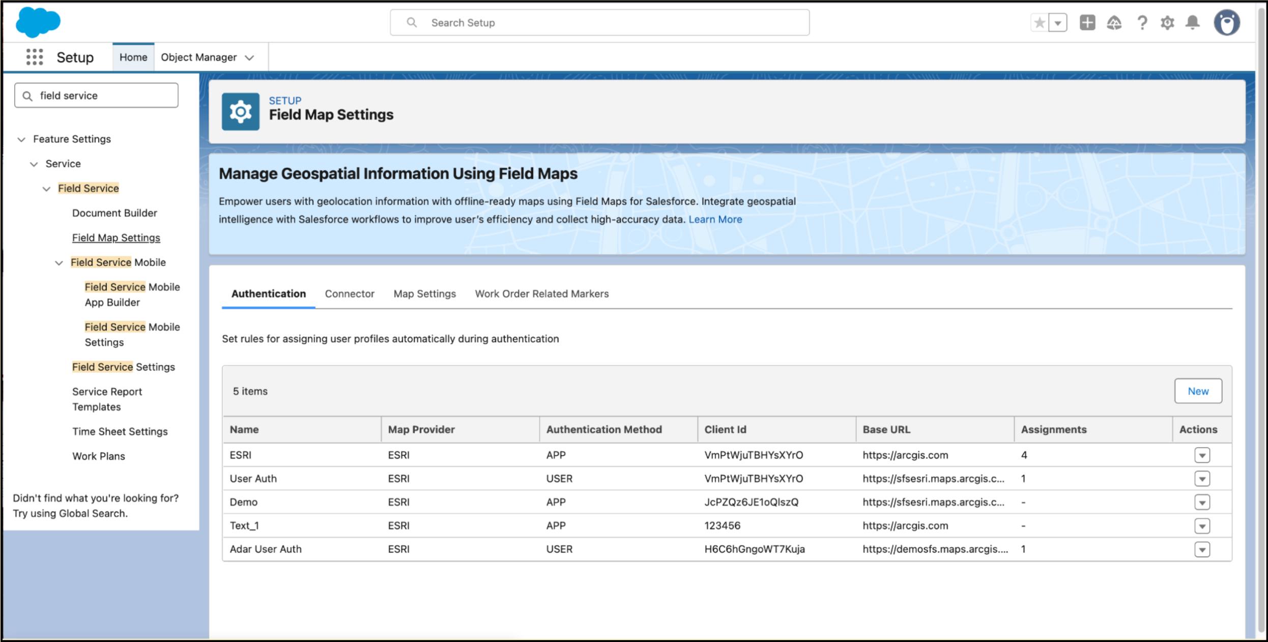 Native GIS on Lightning Experience