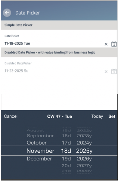 Sample of how the suffix appears on the datepicker UI.