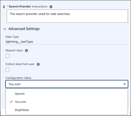 Search Provider selection list showing OpenAI, You.com, and BrightData, with You.com selected.
