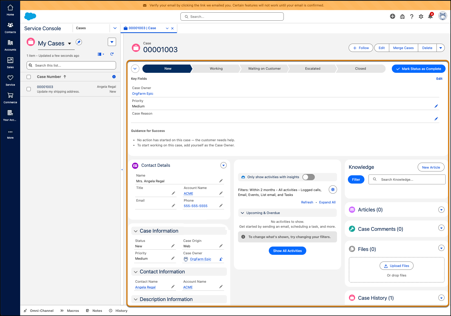 Default Case Page Components in Console Versions