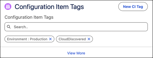 Configuration Item Tags section on a CI record page