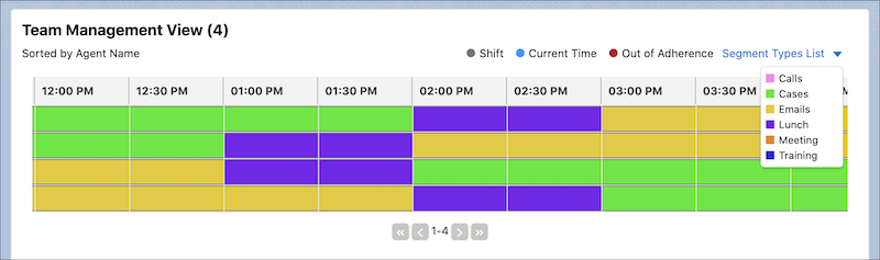 Team Management View with four support reps' shift segments displayed