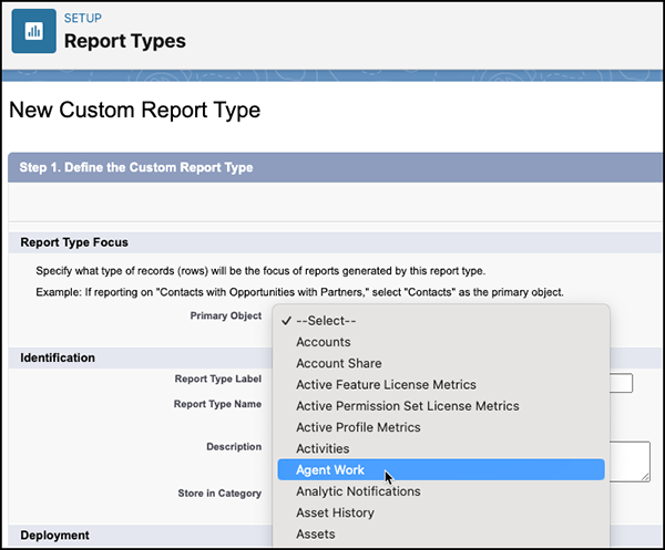 Creating a new custom report type with Agent Work