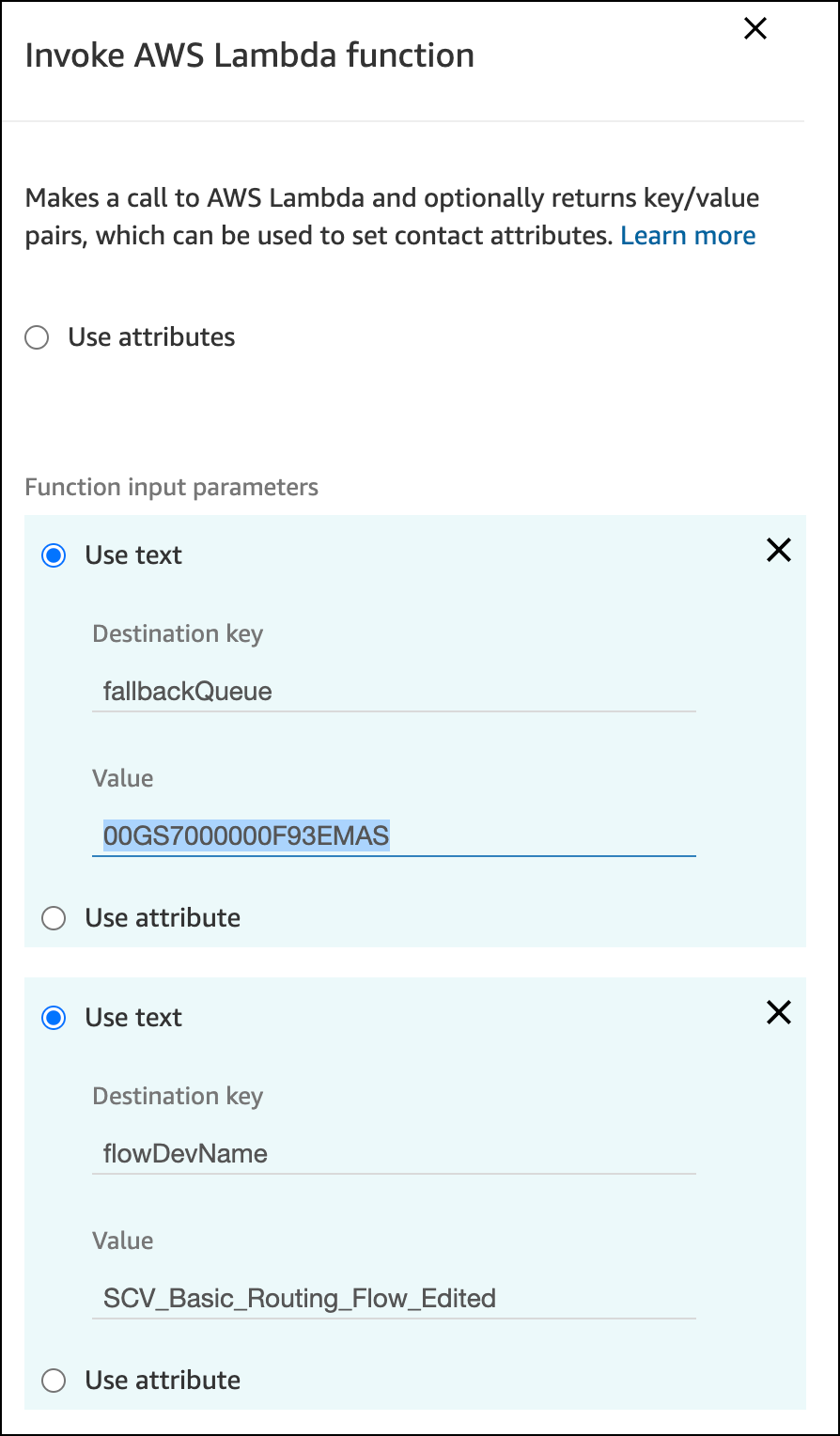 入力パラメーターが表示されている [Function Input Parameters (関数入力パラメーター)] セクション。