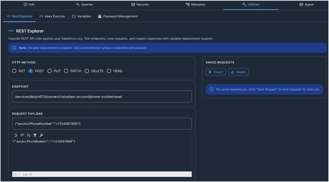 API request payload