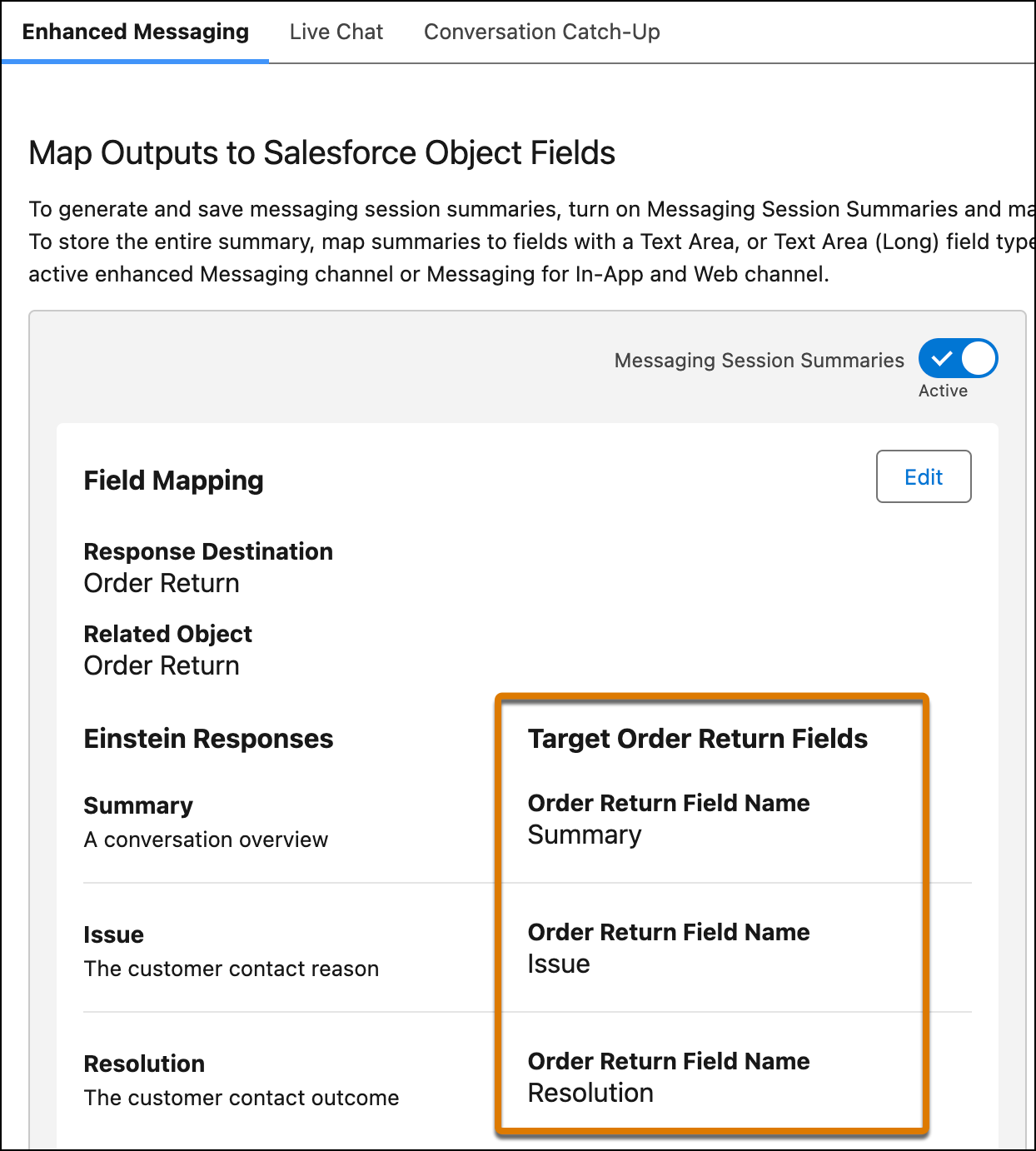 The Issue, Resolution, and Summary fields are added to the Case layout.