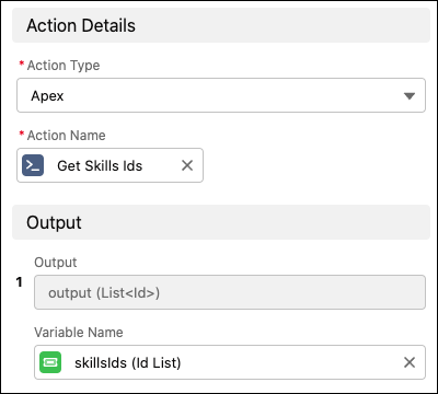 An action dialog step to call the Apex class.