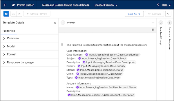 Messaging Session Related Record Details default prompt template