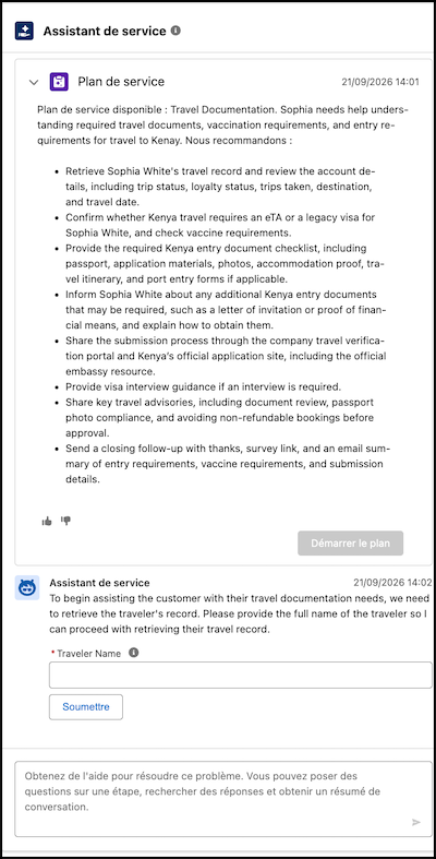 Dynamic plan summaries and steps shown in English