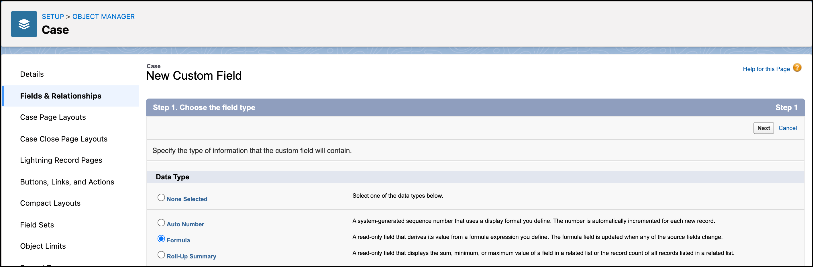 case_feed_sercuity_new_custom_field
