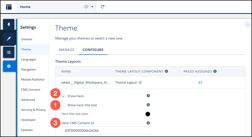 Theme Config3