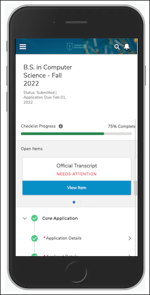 Sample Application record displayed on mobile