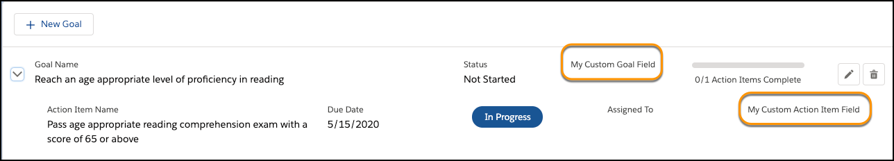 Case Plan Viewer with custom Action Item and Goals fields