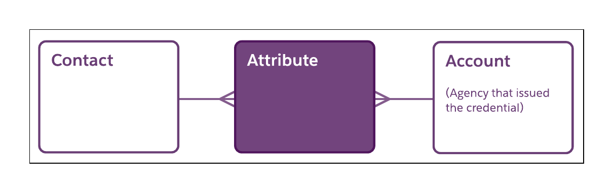 Diagram of the Attribute object's relationship to the Contact and Account objects, with Account representing an agency that issued the credential