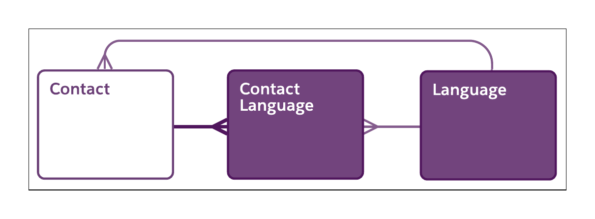 Diagram of the relationships between the Contact, Contact Language, and Language objects