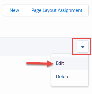 Page Layout Assignment expanded to show Edit and Delete options.